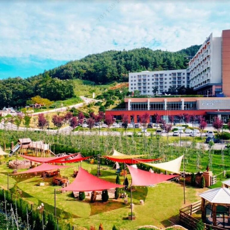 청송 주왕산 온천 리조트 소노벨 청송 스위트 파크뷰 솔샘온천 야외 온천수영장 장단점 정리